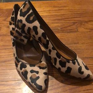 Aquatalia Pasha Leopard Pumps - Never Worn